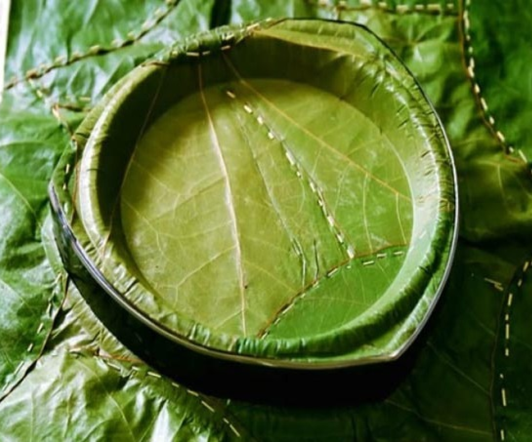 Eco-Friendly Food Packaging